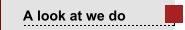 A look at we do