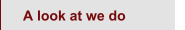 A look at we do