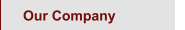 Our Company